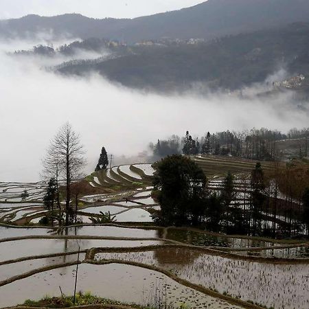 Green Hostel & Sunny Guesthouse Yuanyang  Εξωτερικό φωτογραφία