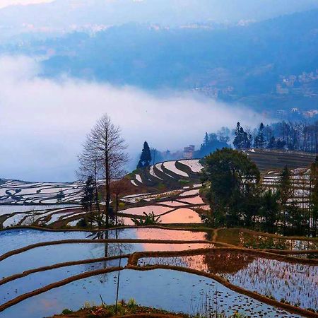 Green Hostel & Sunny Guesthouse Yuanyang  Εξωτερικό φωτογραφία