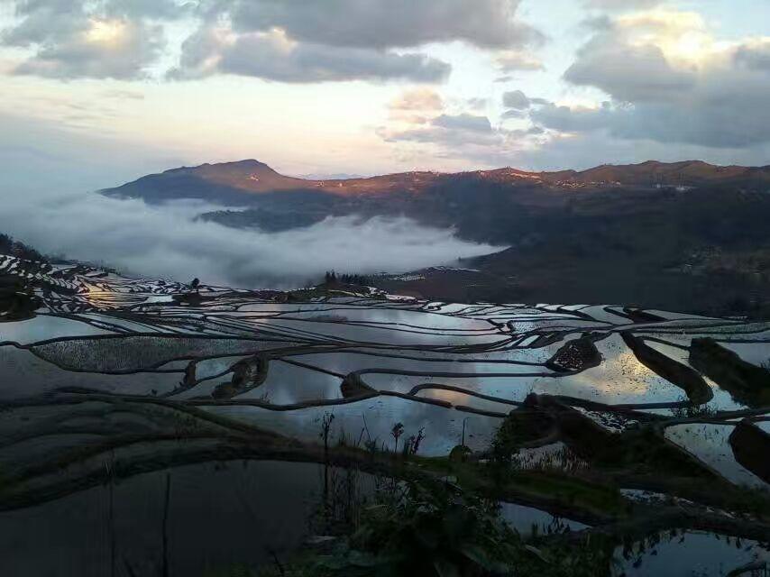 Green Hostel & Sunny Guesthouse Yuanyang  Εξωτερικό φωτογραφία