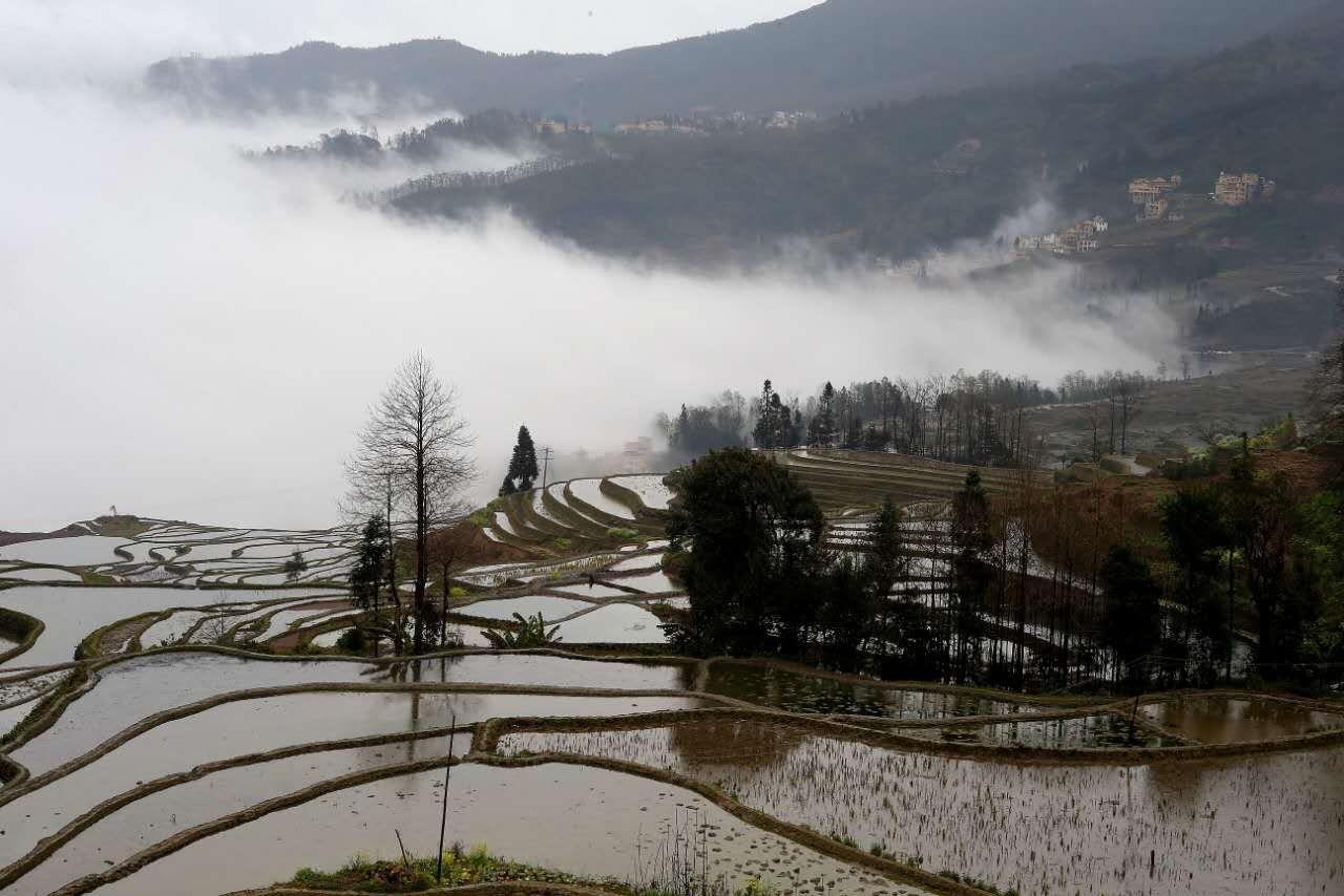Green Hostel & Sunny Guesthouse Yuanyang  Εξωτερικό φωτογραφία