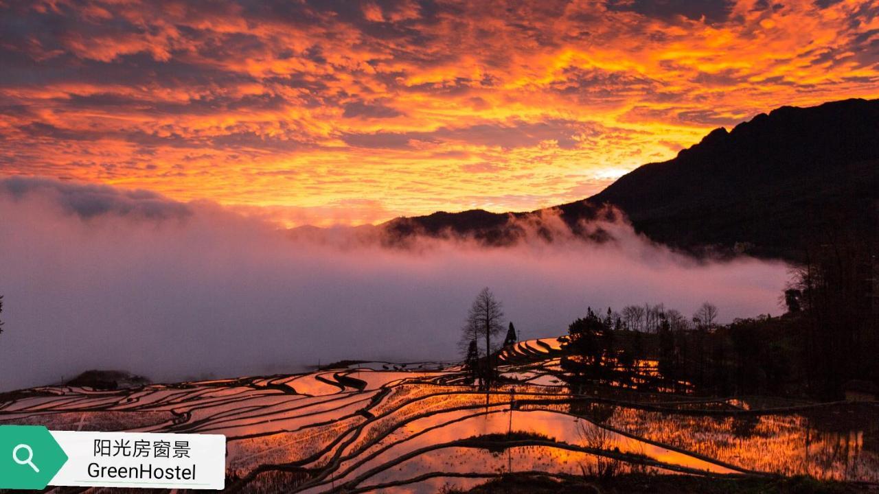 Green Hostel & Sunny Guesthouse Yuanyang  Δωμάτιο φωτογραφία
